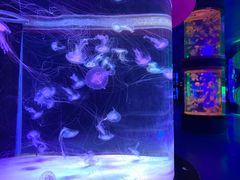 -左海海底世界