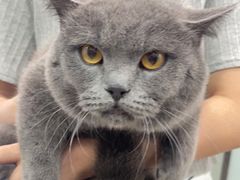 -宠福鑫康馨动物医院·骨科·眼科