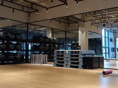 -GYMCARE VIVA(金开店)