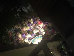 -栖巢咖啡(天鹅湖万达低碳店)