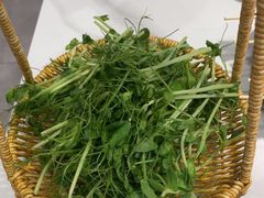 -椰子湾·海南火锅·糟粕醋·椰子鸡(正大广场店)