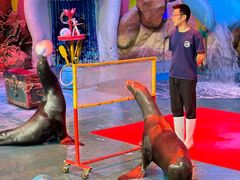 -烟台海昌鲸鲨海洋公园