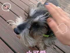 -珮姐老火锅(新街口店)