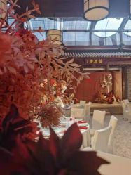 -颐和芥子园酒店·宴会厅