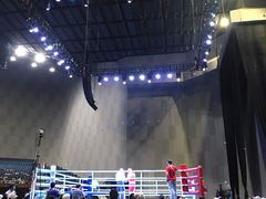 -成都金融城演艺中心