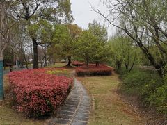 -同济大学(嘉定校区)