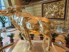 -华西龙希大酒店旅游观光区