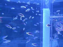 -海合安成都极地海洋公园