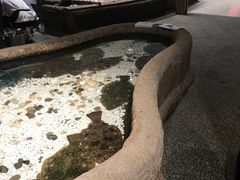 -郑庄脂渣海鲜楼(九水路店)