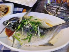 -洞密园美食城(富华路店)