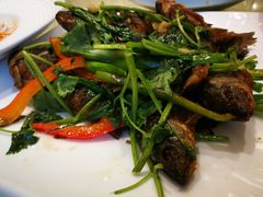 -诚如金·南宁本地菜(信息港店)