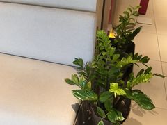 -泰合玺·精油疗愈 SPA(南京河西万达店)