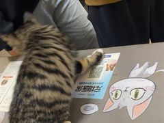 -艾贝尔宠物医院·狂犬免疫点(江山金象城店)