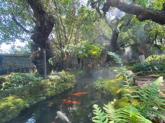 -Chom Cafe and Restaurant