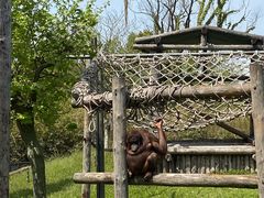 -上海野生动物园