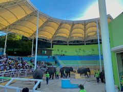 -大连森林动物园