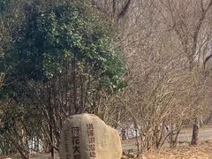 -泗洪洪泽湖湿地景区