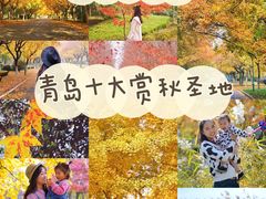 -八大关景区