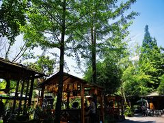 -青城甲(青城山店)