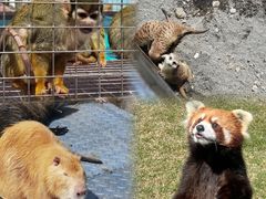 -水上乐园·欢乐世界