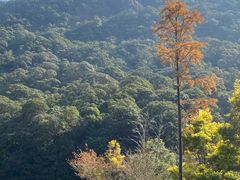 -广州市石门国家森林公园