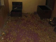 -秃鹫湾·推理大师沉浸式实景演绎推理剧场