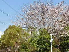 -外高桥保税区南(地铁站)