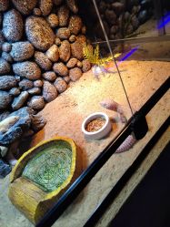 -未来动物城动物主题公园(大悦城店)