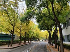 -元大都城垣遗址公园