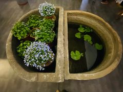 -道南書院·私房菜·早午茶·茶馆