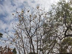 -中国移动南方基地