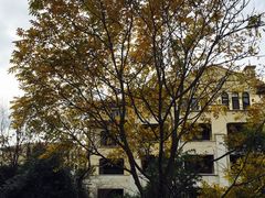 -上海崇明金茂凯悦酒店