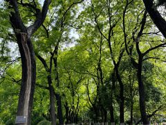 -渭滨公园