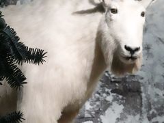 -浙江自然博物院(杭州馆)
