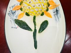 -丁老爷子苏香圆