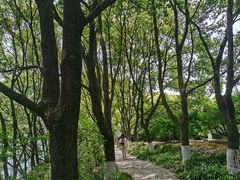 -白马涧龙池景区
