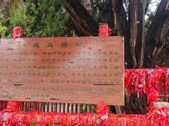 -四门塔风景区