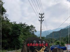-海南霸王岭国家森林公园