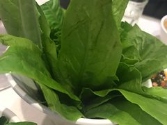 油麦菜-08涮肉坊(广顺南大街店)