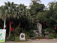 -广州市流溪河国家森林公园