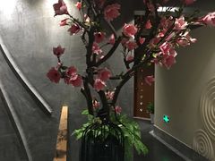 -新盈光·旗舰店(海曙苍松路店)