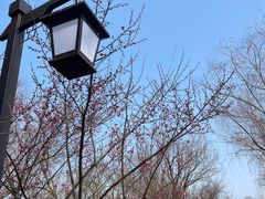 -长兴太湖图影湿地文化园