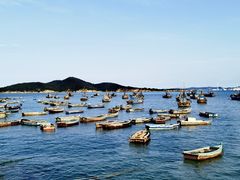 -海源公园