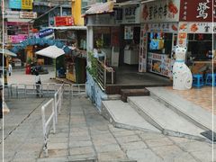 -猫咪博物馆(顶澳仔猫街店)