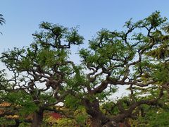 -北京市劳动人民文化宫(太庙)