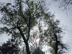-西安曲江寒窑遗址公园