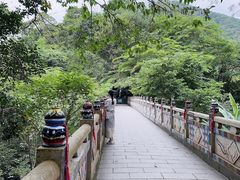 -西双版纳原始森林公园
