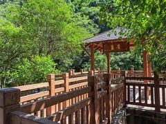 -广州白江湖森林公园