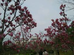 -白塘生态植物园