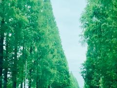 -皤滩古镇